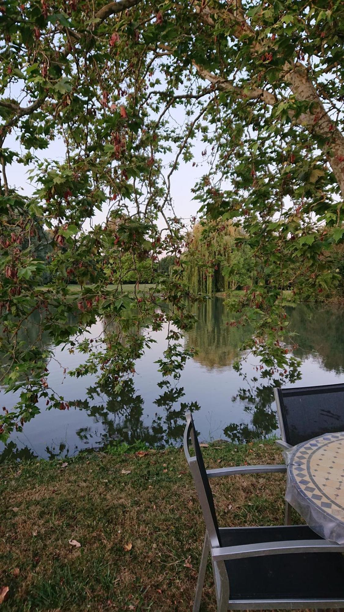 Moulin Du Fief Gentil Bed & Breakfast Blere Ngoại thất bức ảnh