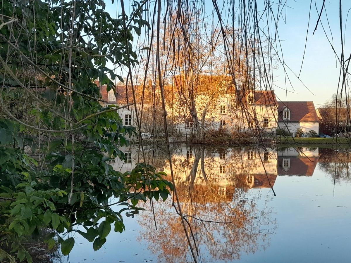 Moulin Du Fief Gentil Bed & Breakfast Blere Ngoại thất bức ảnh
